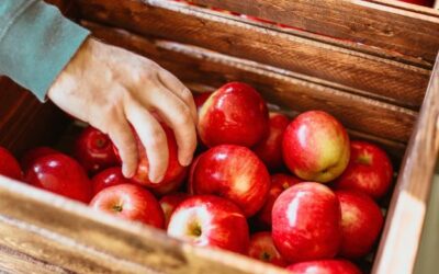 Manzana Gala: ¡Compra ahora y disfruta de su sabor refrescante!