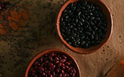 Tenemos los mejores frijoles cultivados en Pérez Zeledón