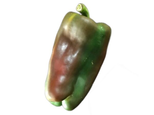 Chile dulce orgánico